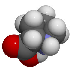 Proline (Pro, P) molecule