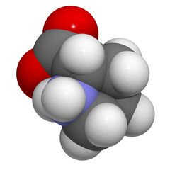 Proline (Pro, P) amino acid, molecular model.