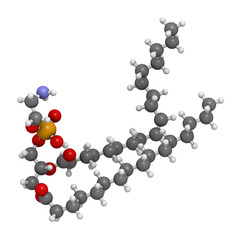 Palmitoyloleoylphosphatidylethanolamine (POPE) cell membrane building block, molecular model.