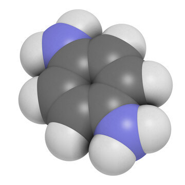 p-Phenylenediamine (PPD) hair dye molecule. Also precursor in polymer synthesis. Known contact allergen, possibly carcinogenic.