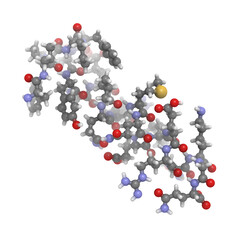 Motilin polypeptide hormone molecule, chemical structure