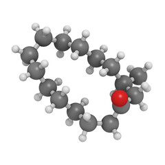 Muscone (musk odor) molecule, chemical structure