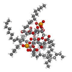 Lipid A bacterial endotoxin, molecular model