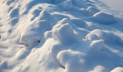 White fluffy snow on the ground as a background.