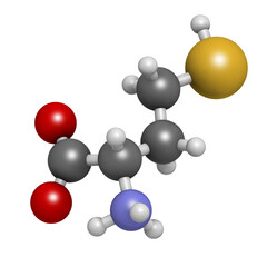 Homocysteine (Hcy) biomarker molecule. Increased levels indicate elevated risk of cardiovascular disease. 3D rendering.