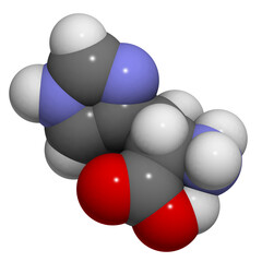 Histidine (His, H) molecule