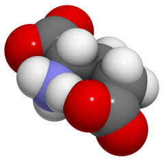 Glutamic acid (Glu, E, glutamate) amino acid, neurotransmitter and umami flavor component, molecular model.