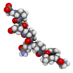 Gliadin derived peptide. Immunogenic breakdown product of gliadin (gluten), playing an essential role in celiac disease.