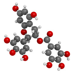 Epigallocatechin gallate (EGCG) green tea polyphenol molecule. Has antioxidant properties and may contribute to health effects of tea.