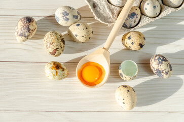 broken quail egg with bright orange yolk in wooden spoon among whole quail eggs. Space for text