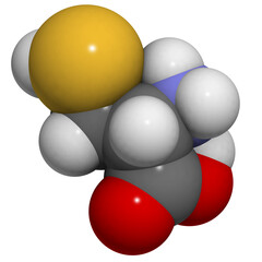 Cysteine (Cys, C) molecule