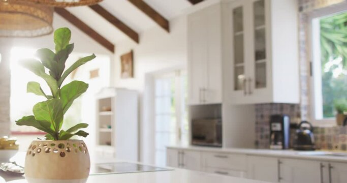 Close up of house interior with plants on tables in kitchen
