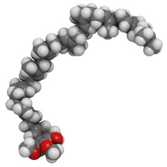 Coenzyme Q10 (ubiquinone), molecular model