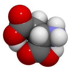 Aspartic acid (Asp, D) molecule