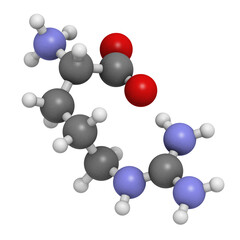 Arginine (Arg, R) amino acid, molecular model.