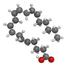 Arachidonic acid (AA, ARA) polyunsaturated omega-6 fatty acid, molecular model.