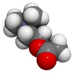 Acetylcholine (ACh) neurotransmitter, molecular model.