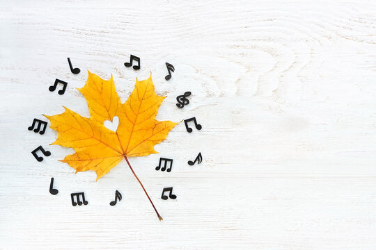 musical notes and yellow maple leaf on abstract white wooden nable. Autumn background. Autumn melody, World Music day concept, 1 october. fall season. flat lay. copy space.