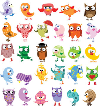 Vector illustrations set of cute different owl birds in the simple style