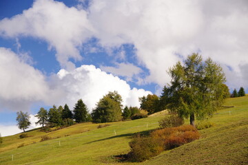 Fototapeta premium Seiseralm