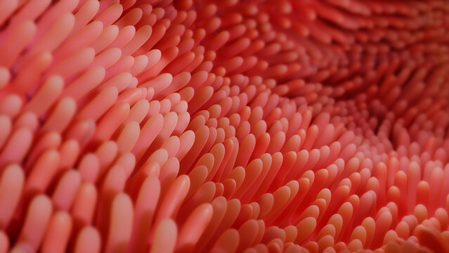 illustration of intestinal microvilli 3d render