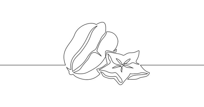 Animation of an image drawn with a continuous line. Carambola fruit.