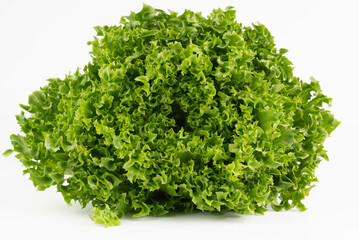 On a white background, a lush green Lollo salad. Useful products concept.