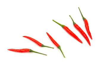 Red hot chili on white background, fresh chili
