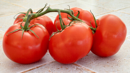 grappe de tomates isolés en gros plan