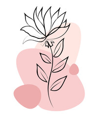 Flower decoration. PNG with transparent background. For printing on t shirt, mug, pillow and other designs.