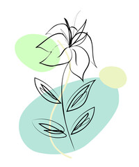 Flower decoration. PNG with transparent background. For printing on t shirt, mug, pillow and other designs.