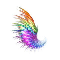 colorful gradation wings