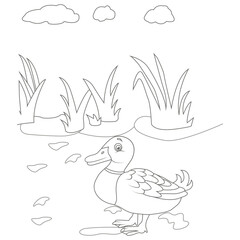 funny animal coloring page for kids