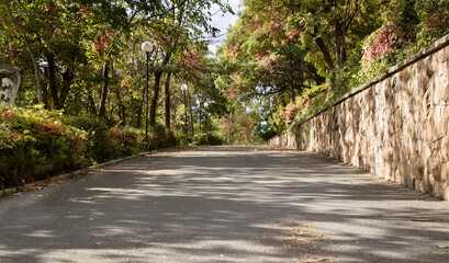 Early morning autumn scene in park, empty alley way