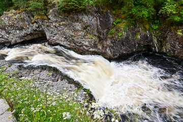 Wasserfall Falls of Shin mit Blumen und Steinen bei Ardgay, Lairg, Highland, Schottland