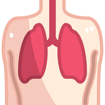 Lung Icon