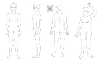 Human body full body illustration set transparent background solid line, man, no face  medical, fashion style