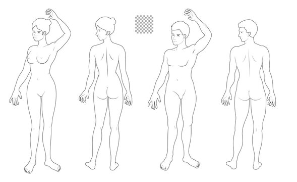 Human body full body illustration set transparent background solid line, man, woman, front side medical, fashion style