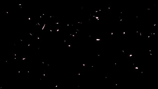 Cherry blossom petals falling down video material [loop processed]