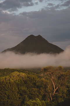 cerro con neblina, monta&ntilde;a verde con neblina, cerro con niebla