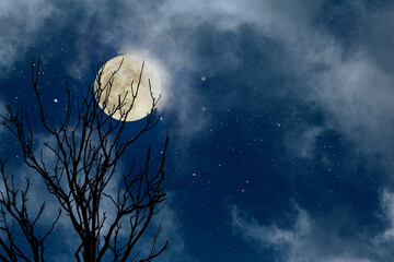 Starry full moon sky - obrazy, fototapety, plakaty