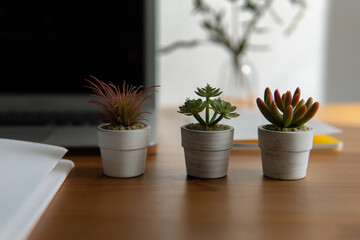 business desktop background. laptop, glasses, plants and notebooks are white and grey. notebook in a cage on a beautiful wooden table.
