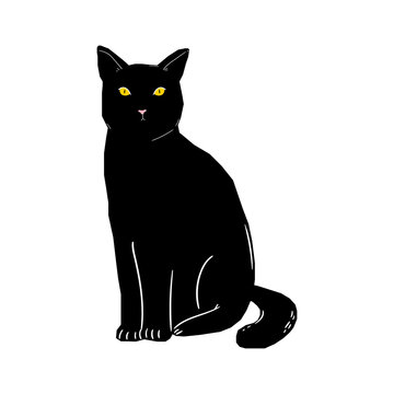 Black cat icon symbol