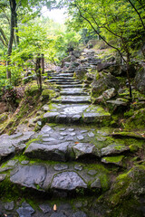 雨に濡れた石段
