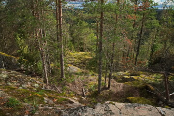 On top of Mount Hidenvuori.