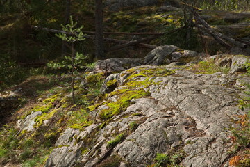 Fototapeta na wymiar Mossy stones on the top of Mount Hiidenvuori