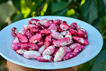 Red beans in a bowl, top view.