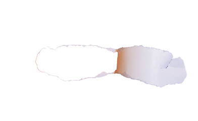 Torn paper png