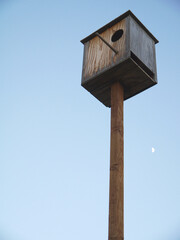 wooden bird house