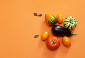 Multicolored small pumpkins, eggplant and yellow tomatoes on an orange background. Autumn harvest. Healthy food concept, organic food, vegan diet. Flat lay. Copy space.